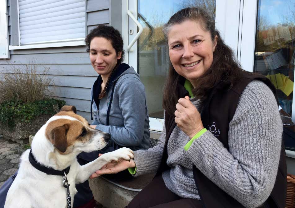 perrosproblematicos El Digital de Asturias