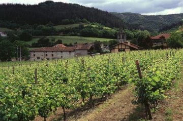 100320campo  El Digital de Asturias