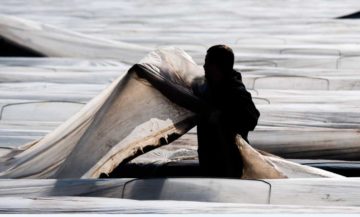 Agricultores El Digital de Asturias