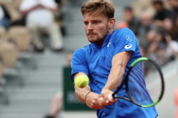 Goffin El Digital de Asturias
