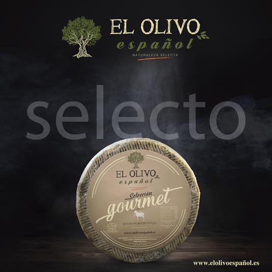 El olivo IP El Digital de Asturias