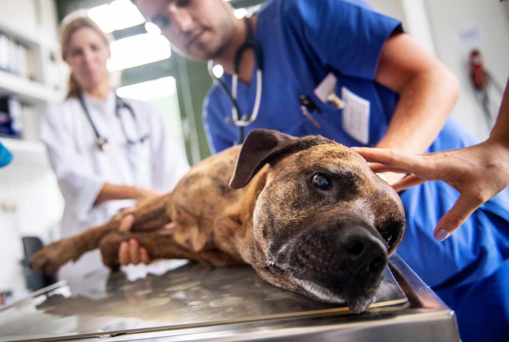 macostasdespedida El Digital de Asturias