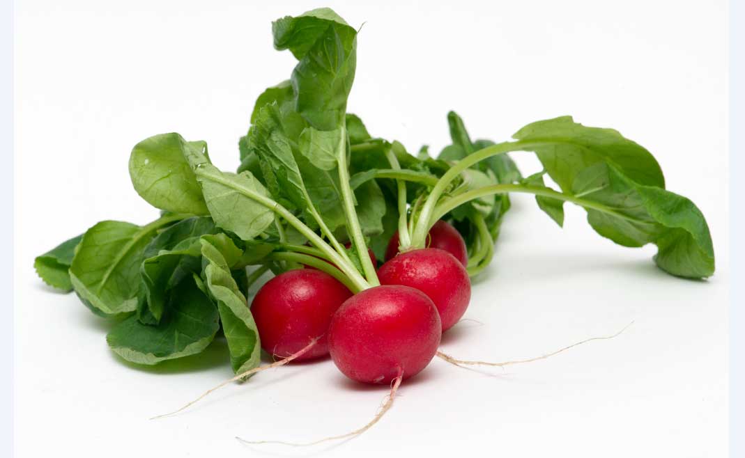 rabanos El Digital de Asturias