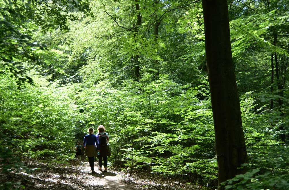 senderismo El Digital de Asturias