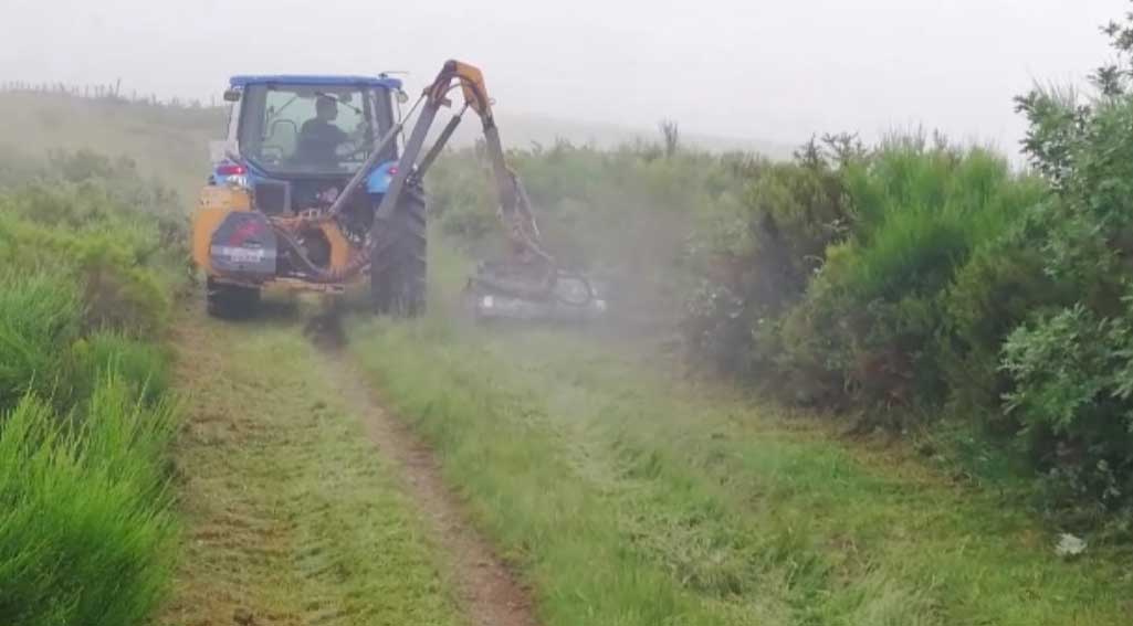 DesbrocesCangasdelNarcea El Digital de Asturias