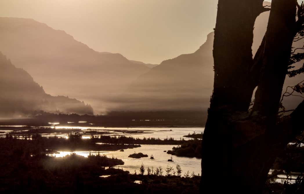 Humboldt, Darwin y cía: Lo que podemos aprender de grandes viajeros