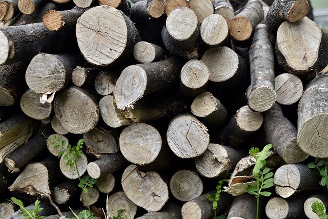 wood5190102640 El Digital de Asturias