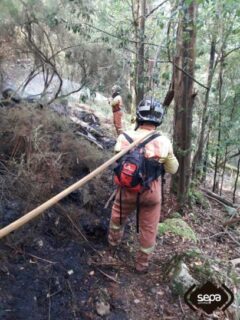 Incendio El Digital de Asturias