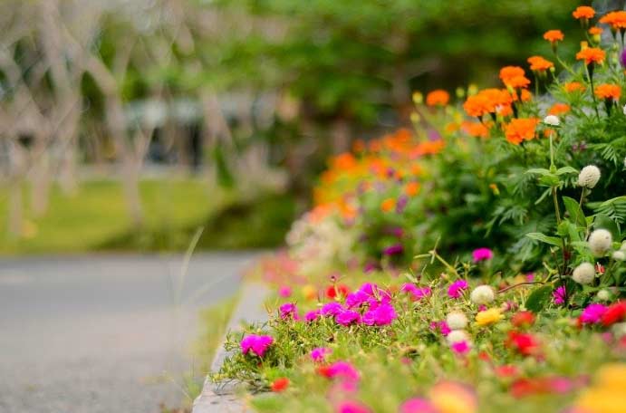 Jardin El Digital de Asturias