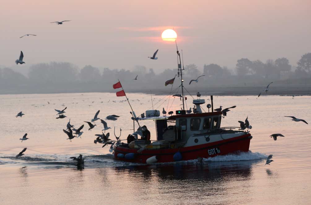MardelNorteymarBáltico El Digital de Asturias