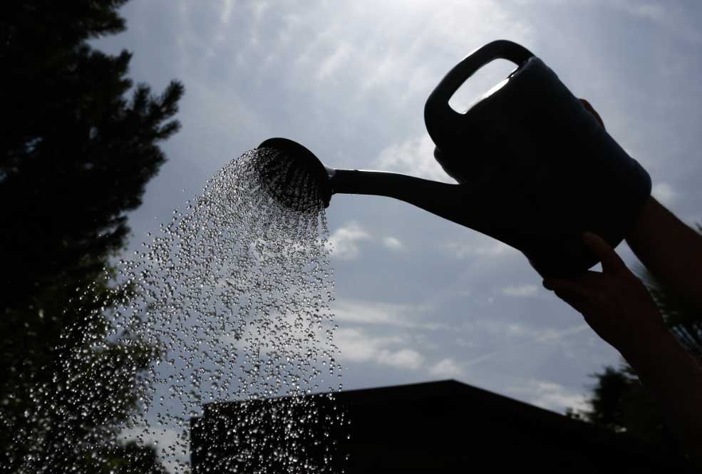 Plantas El Digital de Asturias