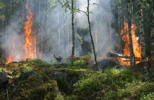 Alerta en Asturias por el riesgo de incendios forestales
