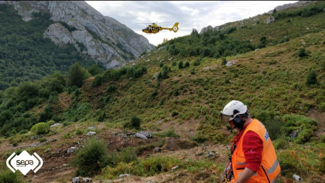 SepaAmieva El Digital de Asturias