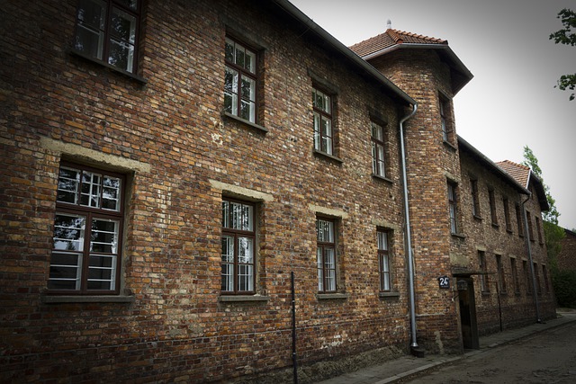 camp5421949640 El Digital de Asturias