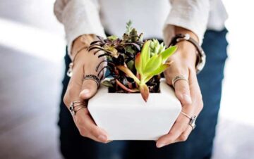 Hogar El Digital de Asturias