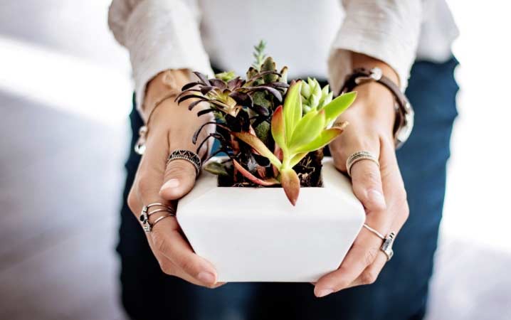 Hogar El Digital de Asturias