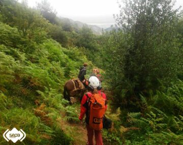 RescatePonga El Digital de Asturias