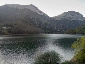 Tanes El Digital de Asturias