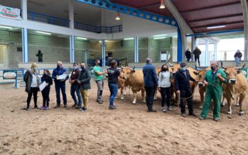XXXV Muestra Ganadera de Cangas del Narcea