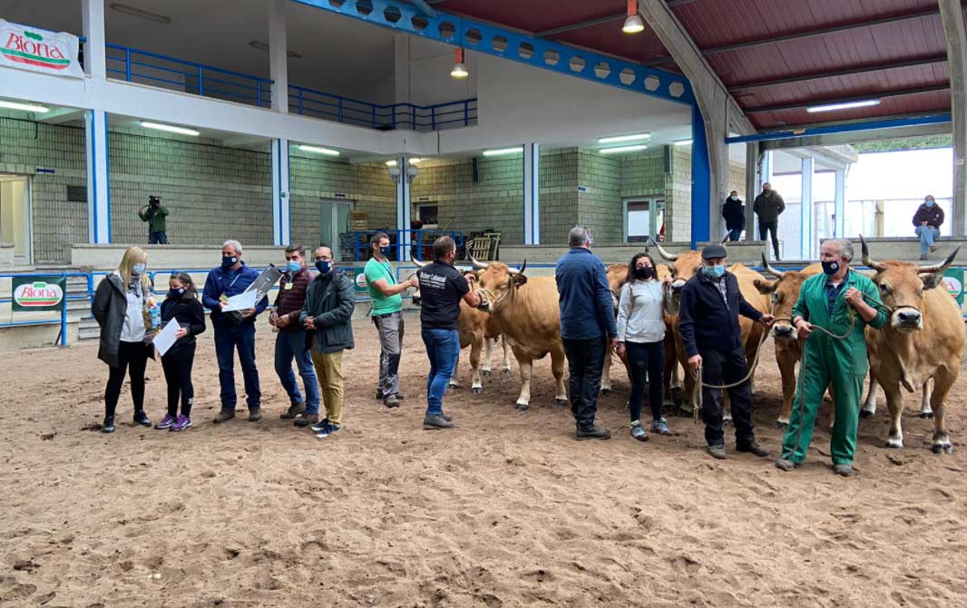 XXXV Muestra Ganadera de Cangas del Narcea