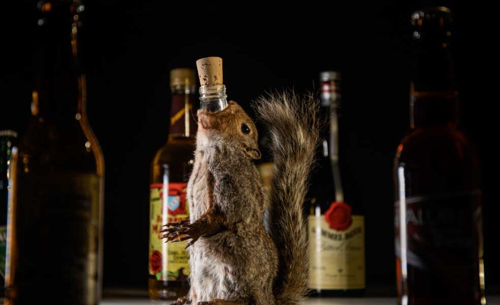 Vino de heces y cerveza de testículos en el Museo de Comida Asquerosa