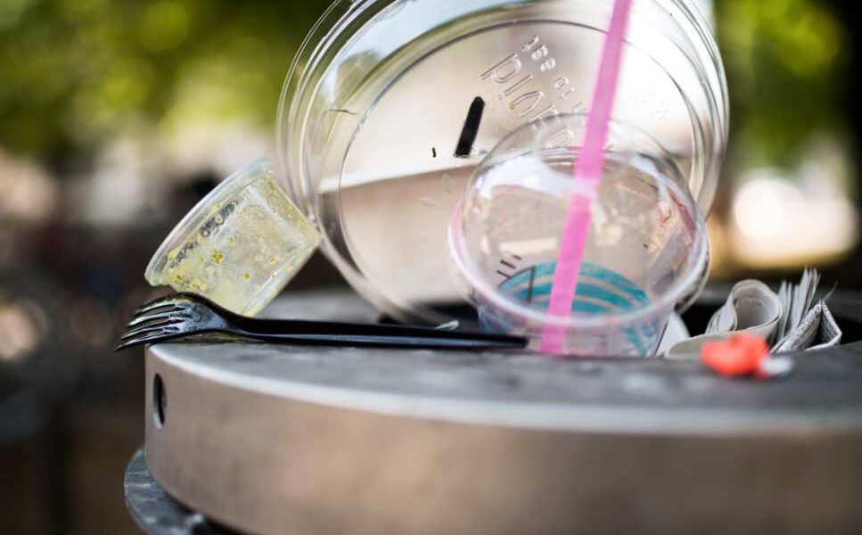 descartables El Digital de Asturias