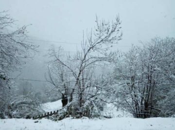 TemporalAsturias El Digital de Asturias Nieve Asturias