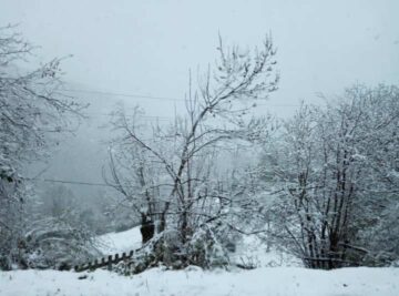 Nieve Asturias