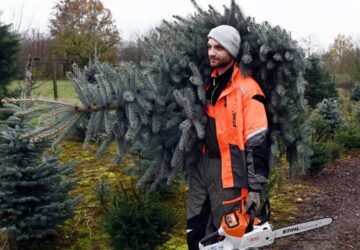 arbolesNavidad El Digital de Asturias