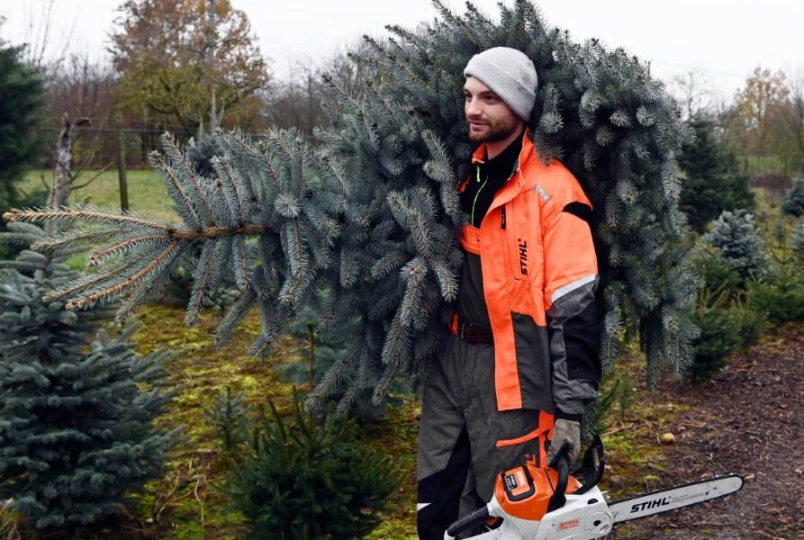 arbolesNavidad El Digital de Asturias
