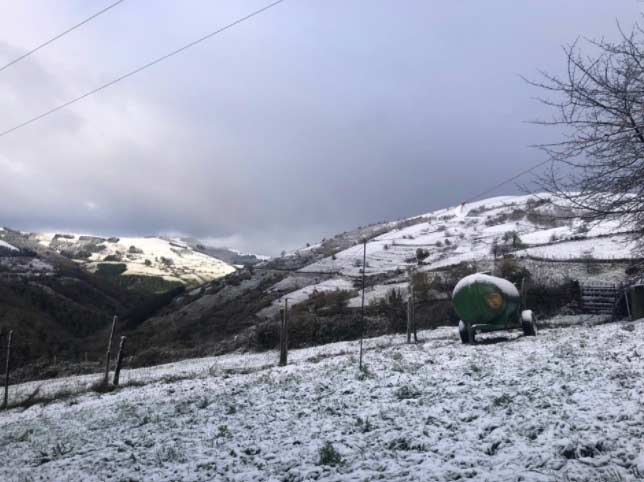 La nieve dificulta la circulación en Asturias