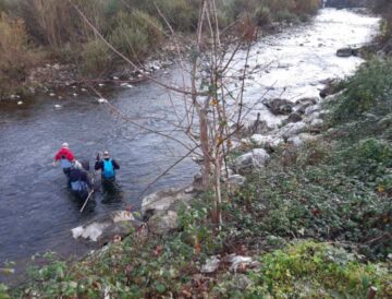 Nalon El Digital de Asturias Río Nalón en Laviana