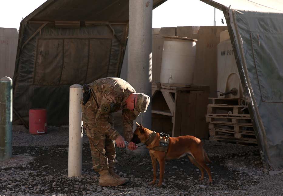 Soldado El Digital de Asturias Perro con un soldado en Afganistán
