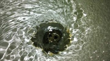 desatascos El Digital de Asturias desatascos