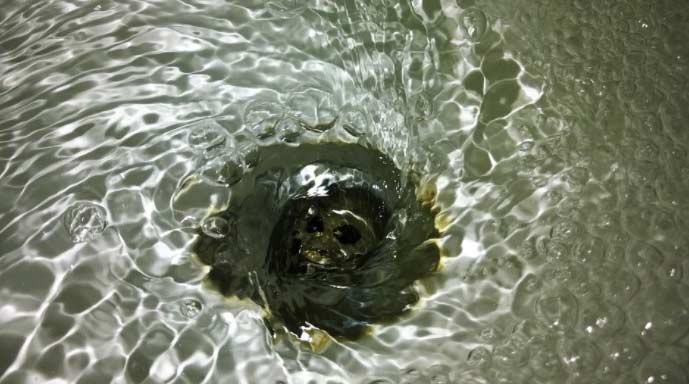 desatascos El Digital de Asturias desatascos