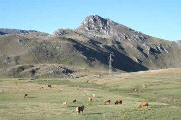 Mieres FORO Asturias