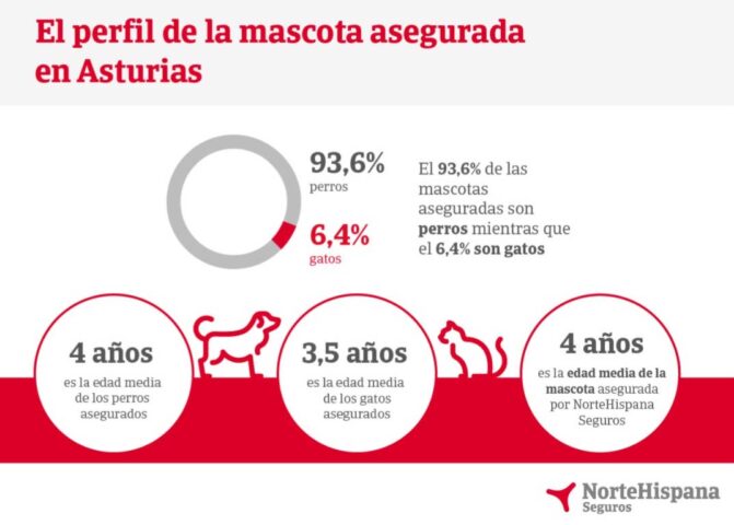 Perfil de la mascota asegurada en Asturias