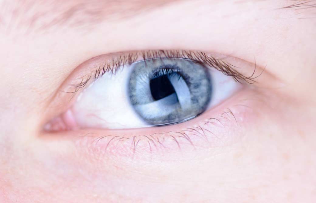 saludocular  El Digital de Asturias salud ocular