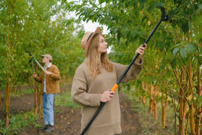 Herramientasparaeljardín El Digital de Asturias