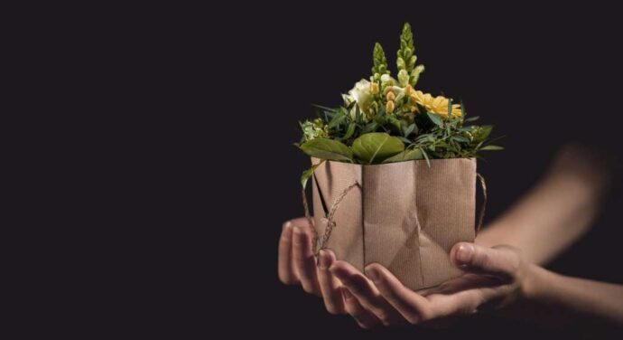 flores El Digital de Asturias