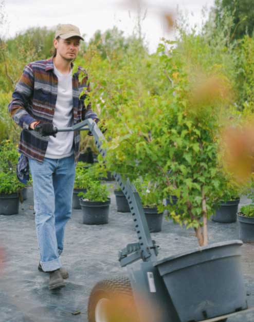 huertosAsturias El Digital de Asturias huertos Asturias