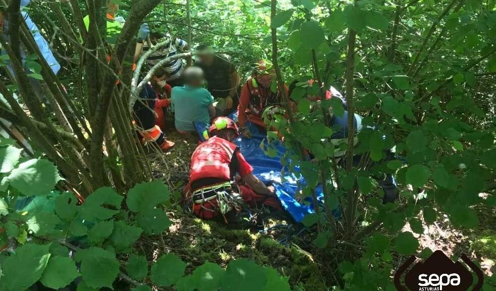 SEPA Aller El Digital de Asturias SEPA Aller