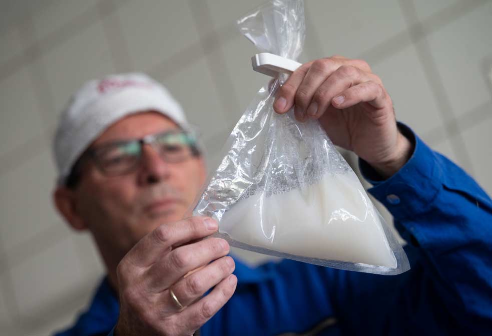 Semen de cerdo, un éxito de exportación «made in Germany»