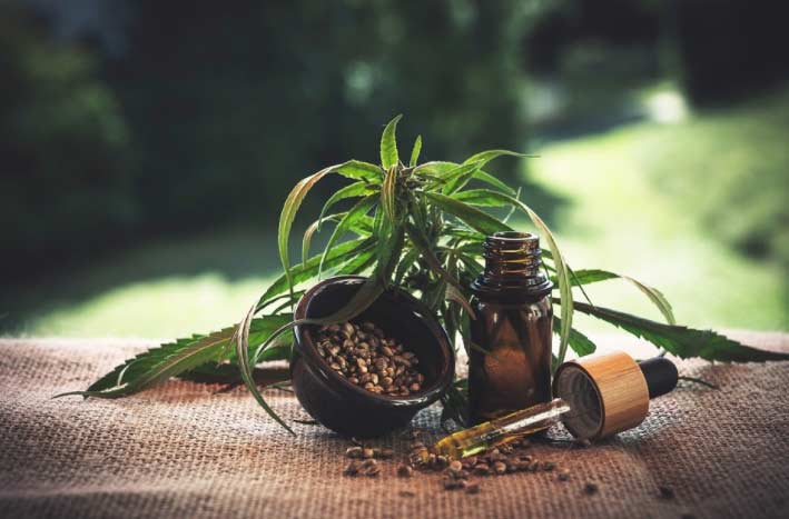 ProfesorCBD, la web de los especialistas en productos derivados del CBD