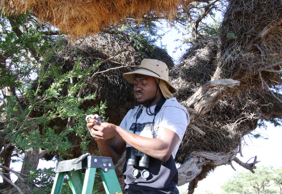 Kalahari El Digital de Asturias Kalahari