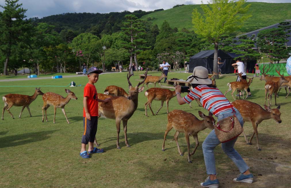 Nara El Digital de Asturias Nara