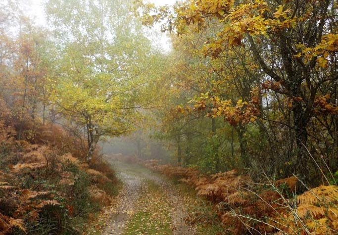 Madrid El Digital de Asturias Madrid