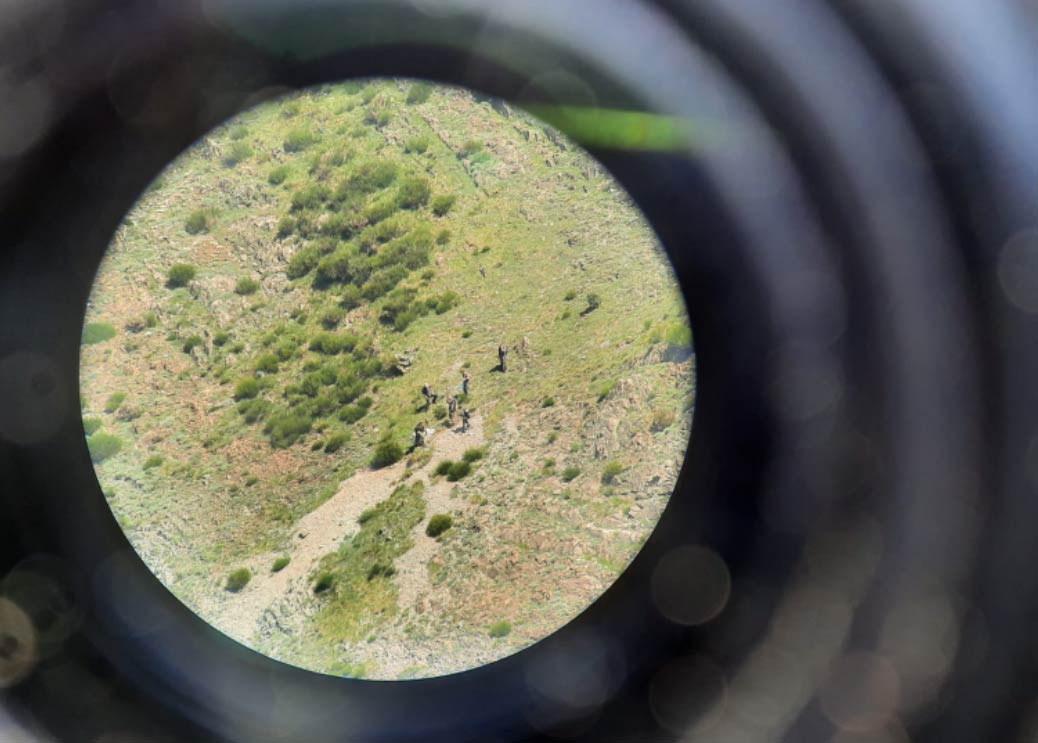 oso El Digital de Asturias oso