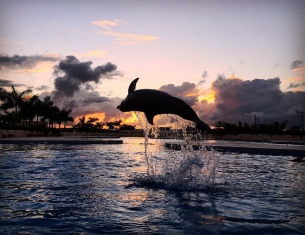 Punta Cana El Digital de Asturias Punta Cana