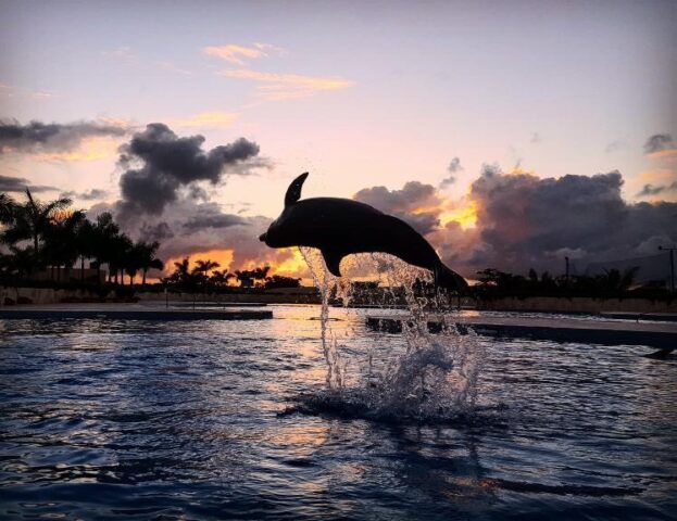 Punta Cana